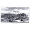Image 9 : The Mountains of California by John Muir 1898