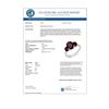 Image 3 : 3.05 CTW Garnet Ring 10K White Gold - REF-22T2M - 13555