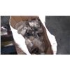 Image 4 : PALLET OF MISC STUDS, BOLTS, SHAFT, PIPE SHACKLE AND ELEC PLUGS