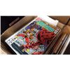 Image 2 : 2 TRAYS OF COMICS BATMAN