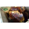 Image 2 : 2 BURL CLOCKS