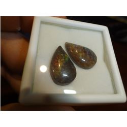 2 Pcs Genuine Canadian Ammolite