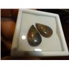Image 1 : 2 Pcs Genuine Canadian Ammolite