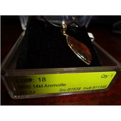 Natural Amolitte Pendant on Cord Retail $800.00