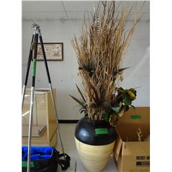 Large Decrative Plant