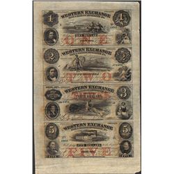 Uncut Sheet of 1857 Western Exchange Fire & Marine Insurance Co. Obsolete Notes