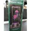 Image 1 : Jellyfish Aquarium with LED Lighting and air pump/bubbles / totally cool