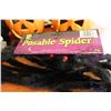 Image 2 : Lot of Misc Halloween Decor