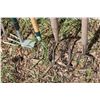 Image 2 : Lot of (6) Garden Claws