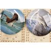 Image 4 : Edwin M Knowles China Company Collector's Plate Set, The Majestic Birds Collection (8 Plates) w/Stor