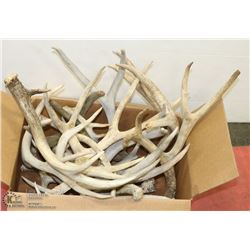 BOX OF ASSORTED SHED ANTLERS (APPROX 20LBS)