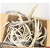 Image 1 : BOX OF ASSORTED SHED ANTLERS (APPROX 20LBS)