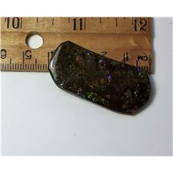 21 - PURPLE & GREEN FIRE AMMOLITE