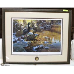 LARGE FRAMED PRINT DUCKS UNLIMITED