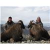 Image 1 : 5-Day/4-Night Free-Range Tahr Hunt on foot for 1 in New Zealand