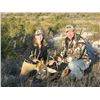 Image 4 : 5-Day Mexico Carmen Mountain Deer or Whitetail Deer Hunt for 1 hunter