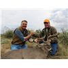 Image 6 : 5-Day Mexico Carmen Mountain Deer or Whitetail Deer Hunt for 1 hunter