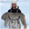 Image 2 : 7-Day, Wolf, Lynx, Wolverine Combo Hunt OR 6-day, Trophy Archery Mule Deer Hunt, both for 1 hunter