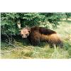 Image 3 : 7-Day, Wolf, Lynx, Wolverine Combo Hunt OR 6-day, Trophy Archery Mule Deer Hunt, both for 1 hunter