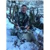 Image 6 : 7-Day, Wolf, Lynx, Wolverine Combo Hunt OR 6-day, Trophy Archery Mule Deer Hunt, both for 1 hunter