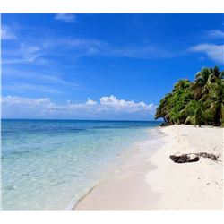 Belize Island Fishing and Diving for 2 people with Blue Reef Adventures