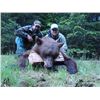 Image 1 : 6-Day Idaho Black Bear hunt for 2 hunters
