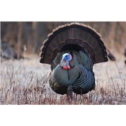 Two-day Michigan private land turkey hunt
