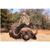 Image 1 : Cape Buffalo and Sable Antelope for 2 Hunters and 2 non-hunters; 10 Days Hunting.