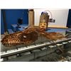 Image 2 : RED CEDAR BARK BEAR FRONT LIT MASK WITH 29 CARVED ELK BONE SKULLS AND 4 ABALONE ACCENTS (19" X10")