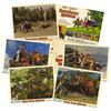 Image 1 : "Swiss Family Robinson" Complete Set of Lobby Cards.
