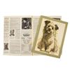 Image 2 : "Greyfriars Bobby" Promotional Campaign Booklet.