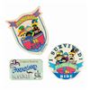 Image 1 : Collection of Disneyland 5K Event Items.