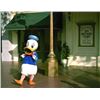 Image 7 : "Donald Duck" Disneyland Walk-Around Character Head.