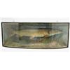 Image 1 : An early 20th century taxidermic pike, inscribed bow fronted case with naturalistic river bed set...