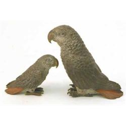 A graduated pair of Austrian cold painted bronze grey parrots, Largest 6ins...