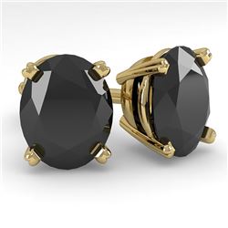 10 CTW Oval Black Diamond Stud Designer Earrings 14K Yellow Gold - REF-216A2X - 38399