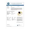 Image 2 : 1.04 CTW Blue Sapphire & Diamond Ring 10K Yellow Gold - REF-20A2X - 13256