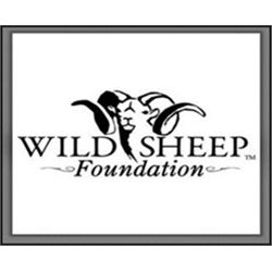 Registration Package for 2 to WSF convention 2020