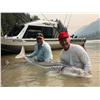 Image 1 : Ultimate Fraser Canyon Sturgeon Adventure - Great River Fishing Adventures