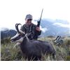 Image 2 : 5 day Alpine Chamois or Tahr Hunt New Zealand