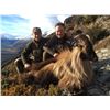 Image 3 : 5 day Alpine Chamois or Tahr Hunt New Zealand