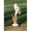 Image 1 : Snowy Owl