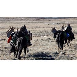 Moose Hunt In Spatsizi Wilderness Park
