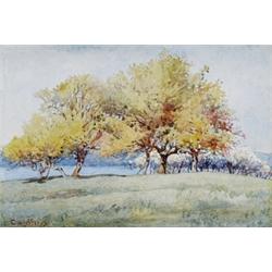 Charles William Jefferys RCA, OSA, CSPWC