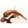 Image 1 : EARLY 19TH CENTURY POWDER HORN