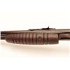 Image 8 : WINCHESTER 62A #100281