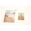 Image 1 : LOT OF 2 WESTERN & WILDLIFE COLOR PRINTS