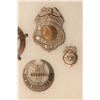 Image 2 : RIKER CASE OF 7 REPRO BADGES