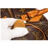 Image 7 : Louis Vuitton Monogram Canvas Leather Speedy 25 cm Bag