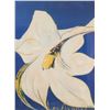 DASTO "Les Avants" Print Dated 1984 White Lily